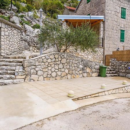 Villa Lazini Dvori Stasevica Dış mekan fotoğraf