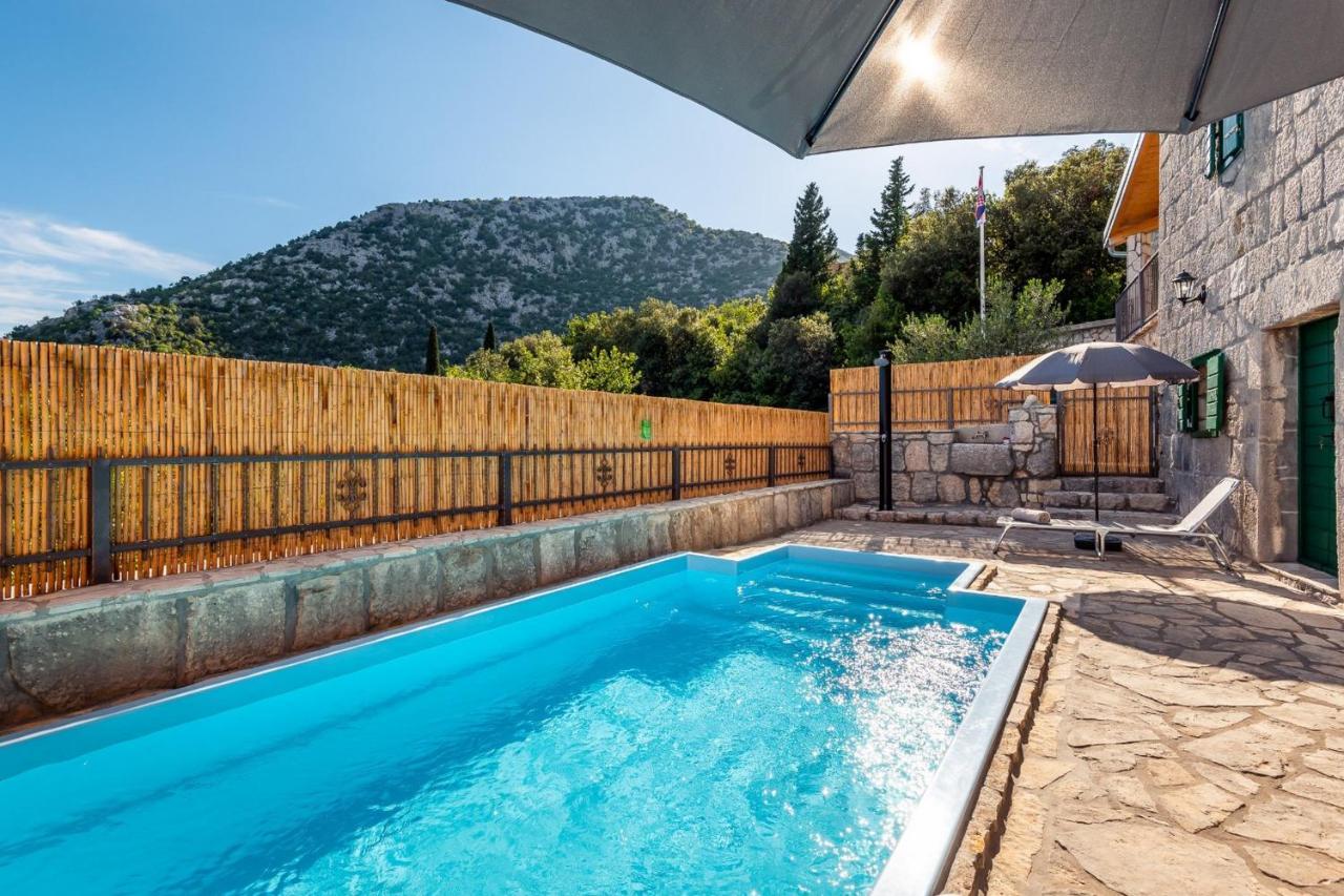 Villa Lazini Dvori Stasevica Dış mekan fotoğraf